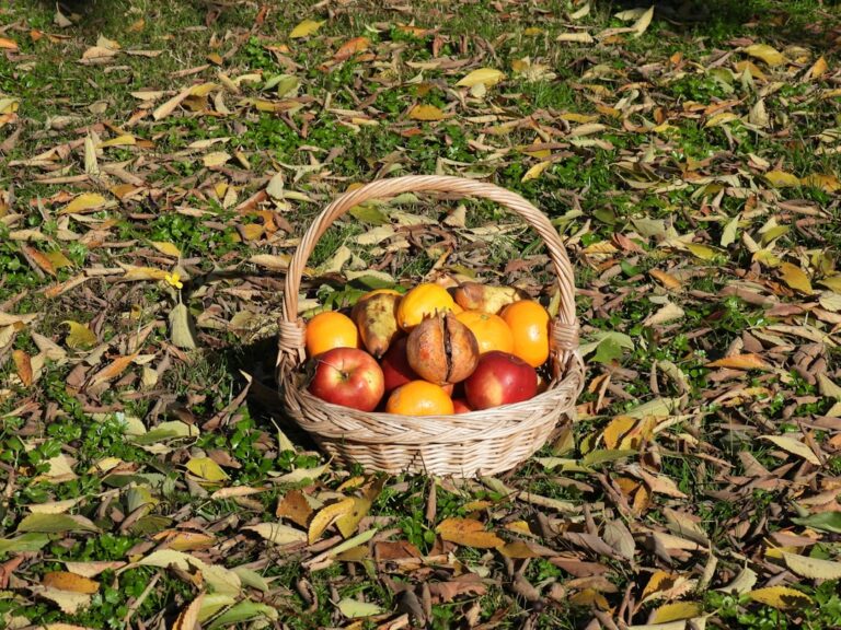 Photo Fruit basket